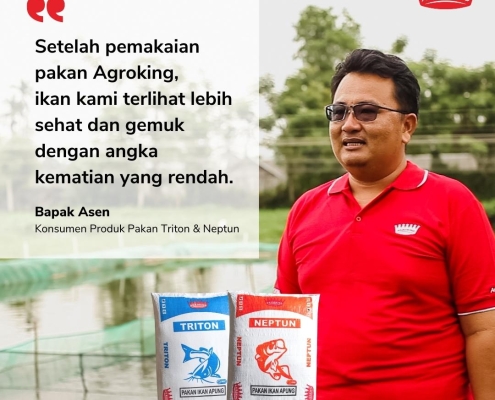 Pakan Ikan berkualitas untuk budidaya ikan